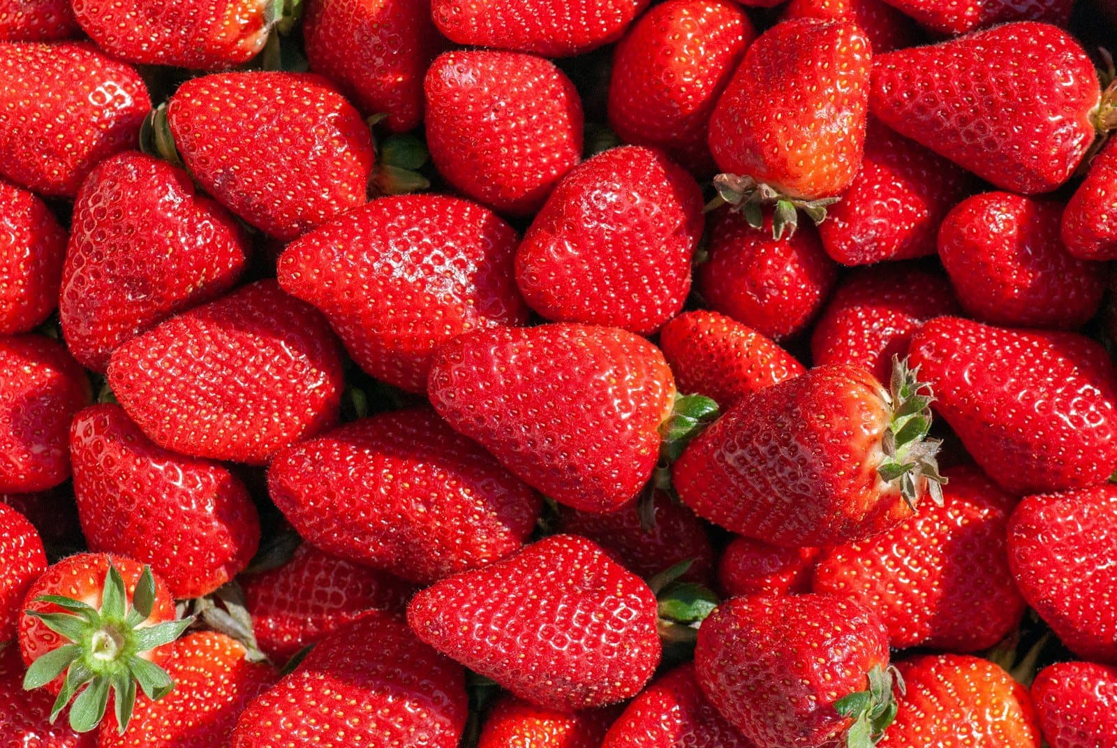 Red strawberries on the plant, partly hidden among green leaves.